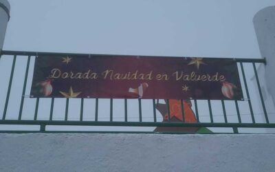 Proyecto de intervención sociocomunitaria: “Dorada Navidad”